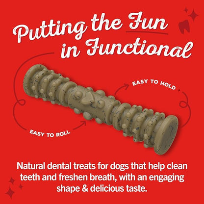 Stella & Chewy's Dental Delights with Freeze-Dried Chicken - Large Dental Treats for Dogs, 23.2 Ounce Bag