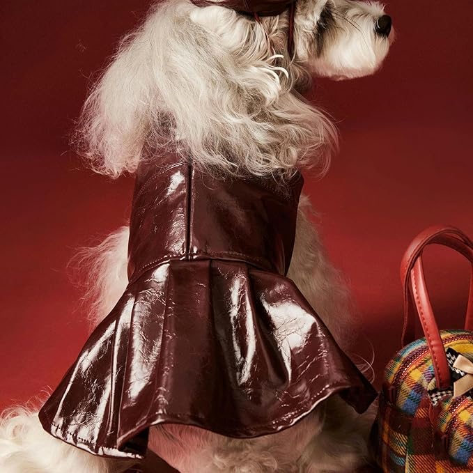 Dog Leather Jacket-Luxury Cute Leather Dog Jackets Motorcycle Clothes Girl Designer Puppy Wedding Birthday Dress with Zipper & Necklace for Chihuahua, Yorkie 2XL