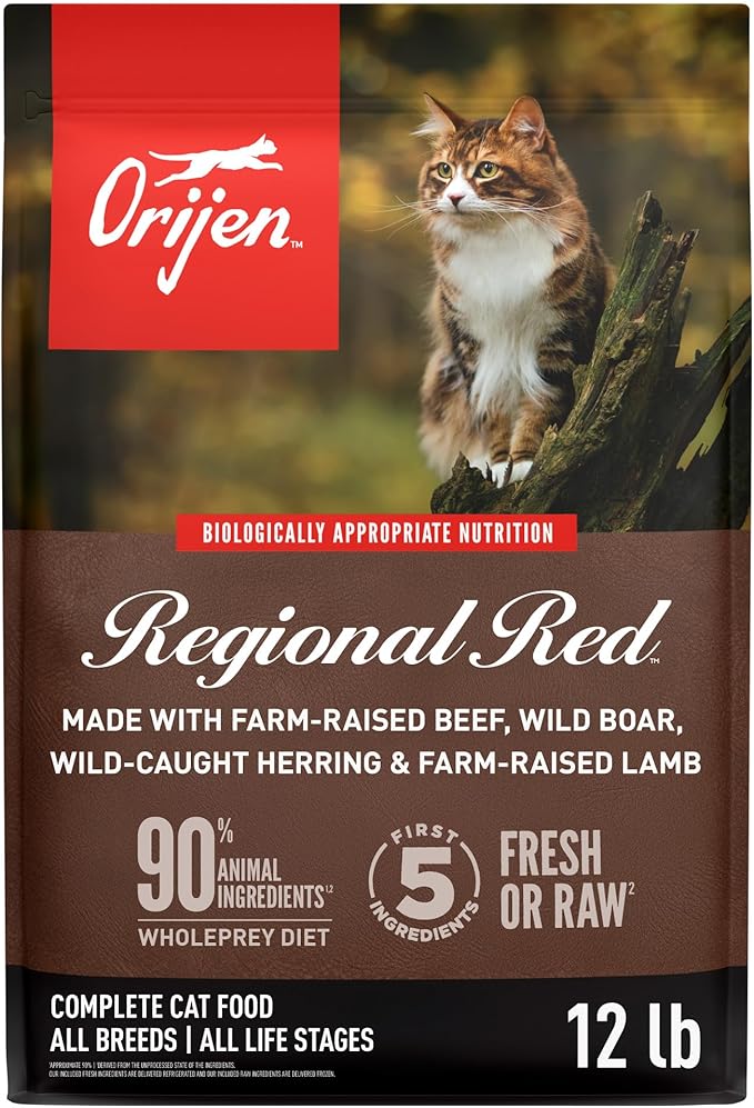 ORIJEN Grain Free High Protein Premium Dry Cat Food Regional Red Recipe 12lb Bag