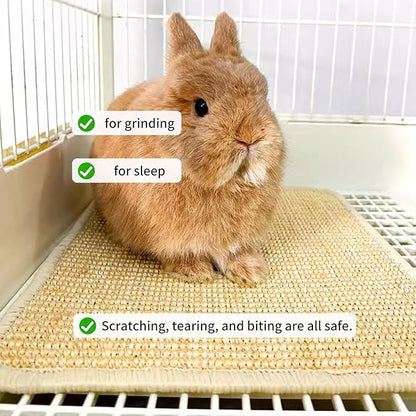 Oncpcare 2PCS Rabbit Scratch Mat Natural Bunny Scratching Pad Claws and Teeth Care Rabbit Mats for Cages Chew Toys for Bunny Pet Cage Bedding for Biting Sleeping Nesting, 16x12
