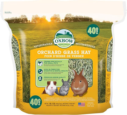 Oxbow Orchard Grass Hay for Small Pets – All-Natural Long Strand Fiber Hay for Rabbits,Guinea Pigs,Chinchillas,and Hamsters – Supports Digestive Health and Enrichment-– 40 oz Bag,(Pack of 2)