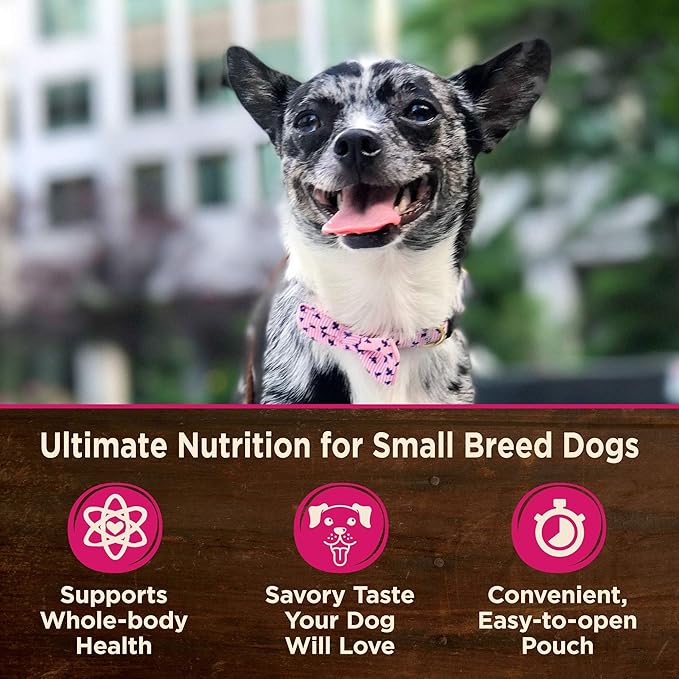 Wellness CORE Natural Grain Free Small Breed Mini Meals Pate Variety Pack, 3-Ounce (Pack of 12)