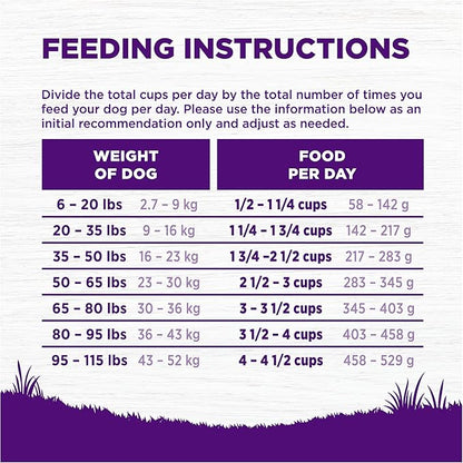 Wellness Complete Health Age Advantage Senior Dry Dog Food, Wholesome Grain Kibble, Natural, Chicken and Barley Recipe, 15 lb Bag