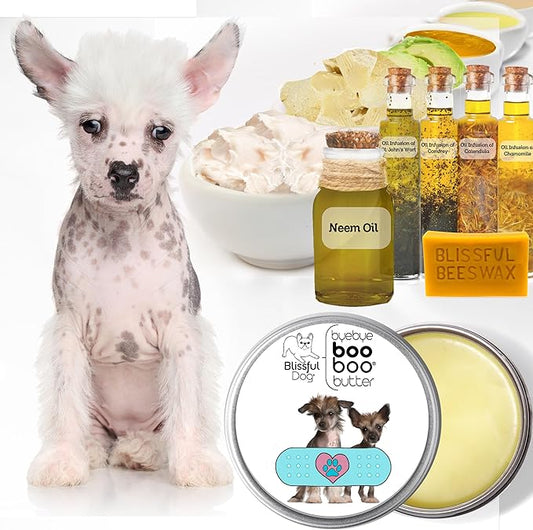 The Blissful Dog BB-CRESTED-16OZ Chinese Crested Boo Butter, 16 oz.