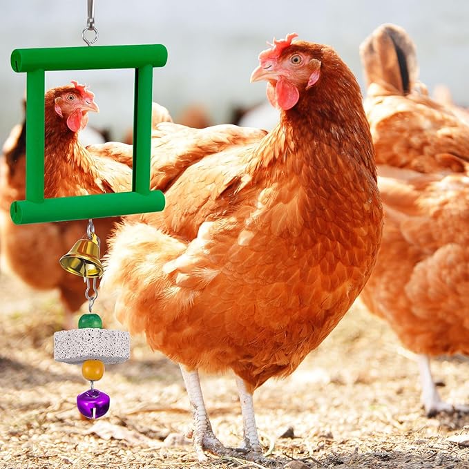 Sumind 2 Pieces Chicken Mirror Toys Hanging Swing Mirror with Bell Wooden Pecking Toy and 4 Pieces Beak Grinding Molar Stones for Hens Birds Parrots(Green,Orange)