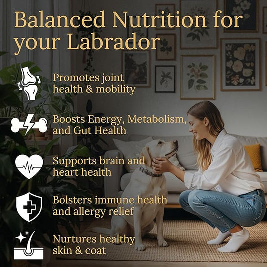 Multivitamins, Balanced Nutrition for Your Labrador, 90 Count, Made in the USA with Real Bacon