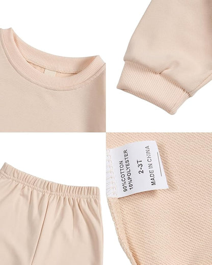 Toddler Baby Cute Dog Puppy Long Sleeve Sweatshirt Top Jogger Pants Set Cute Fall Winter Clothes Set