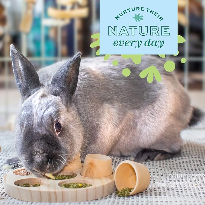 Oxbow Timothy Hay Hide & Seek Mat, Small – Rabbit & Guinea Pig Toys for Chewing & Relaxation, Enrichment for Bunny, Hamster, Chinchilla, Rat, Timothy Hay Small Animal Cage Accessories