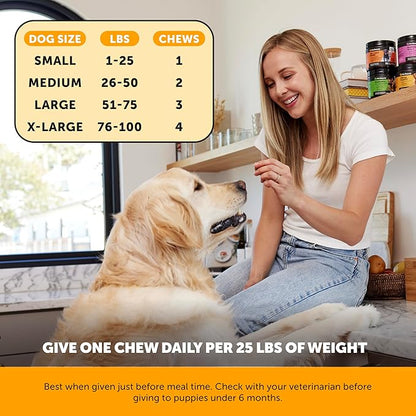 Allergy Skin Health – Allergy Itch Relief & Immune Support Chews with Fish Oil, Probiotics, & Vitamin E – Helps Reduce Normal Shedding, Soothe Sensitive Skin, & Digestive Health (Salmon Flavor, 90 Ct)