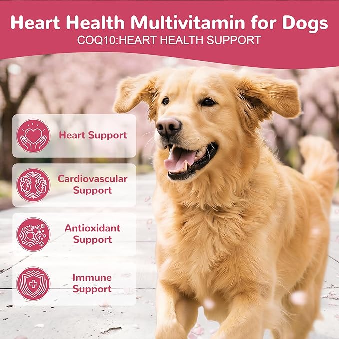 Heart Support Supplement for Dogs, Taurine for Senior & Puppy Dogs, Dog Multivitamin with CoQ10 & L-Carnitine for Heart, Cardiovascular & Antioxidant Support - 200ct