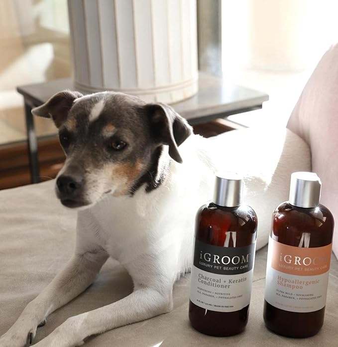 iGroom Hypoallergenic Dog Shampoo, Luxury Pet Beauty Care, Extra Mild Formula, Keratin + Vegetable Proteins Add Moisture, Made in USA, 16oz