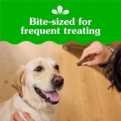 Greenies Anytime Bites Dog Treats, Mint Flavor, Dog Training Treats, 10.3 oz. Bag
