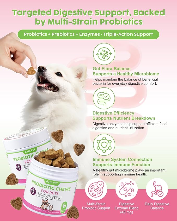Probiotic Soft Chews for Dogs & Cats - 600M CFU Multi-Strain Probiotics, Prebiotics & Digestive Enzymes - Chicken Flavor Daily Gut Health Supplement - 60 Soft Chews (120g)