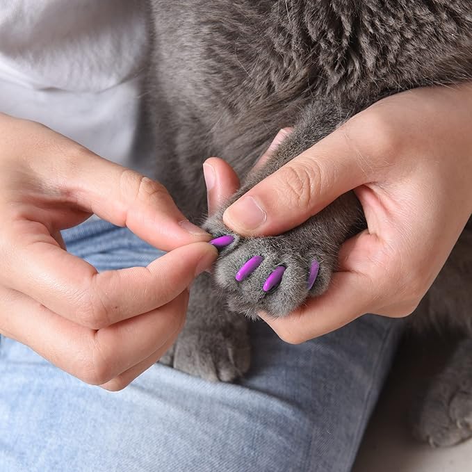 Kitty Caps Nail Caps for Cats, Hot Purple & Hot Pink - Safe, Stylish & Humane Alternative to Declawing Stops Snags & Scratches, Medium (9-13 lbs), 40 Count - 3 Pack