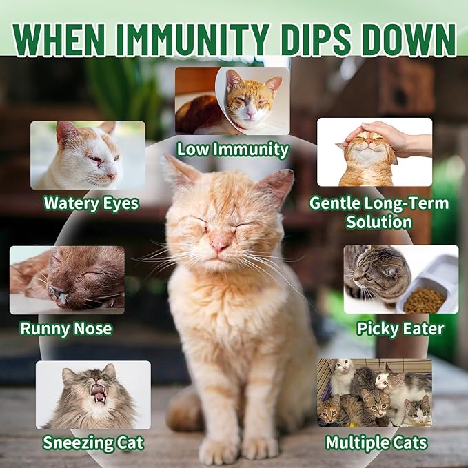 L-Lysine for Cats, Cat Lysine Supplement for Immune Support, Feline Respiratory, Sneezing, Runny Nose, Eye Function, Natural Strengthen Defenses, Chicken Flavor 60 ML