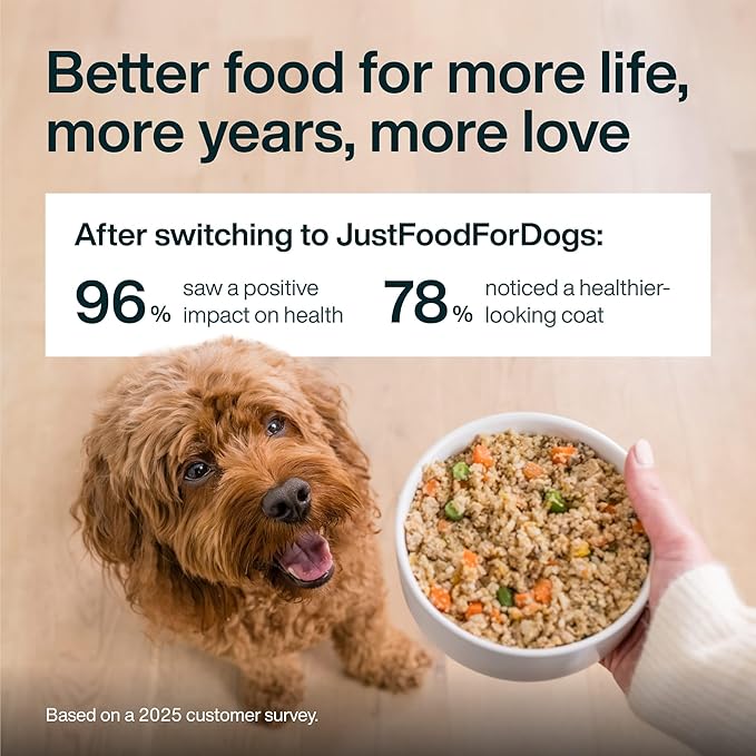 JustFoodForDogs Pantry Fresh Wet Dog Food, Complete Meal or Dog Food Topper, Chicken & White Rice Human Grade Dog Food Recipe - 12.5 oz (Pack of 12)