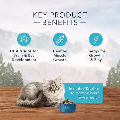 Blue Buffalo Wilderness High Protein, Natural Kitten Dry Cat Food, Chicken 2-lb (Pack of 2)