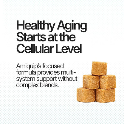 Amiquip Senior Dog Supplement – Joint Support, Cellular Vitality & Longevity for Healthy Aging – 90-Day Soft Chews with PQQ + Palmitoylethanolamide