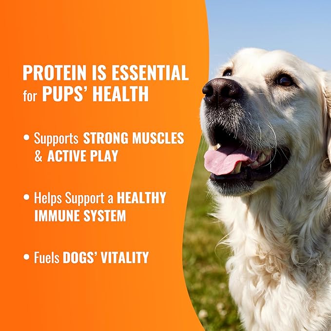 GOOD 'N' FUN Triple Flavor Wraps with Beef Tendon Chews, High-Protein Dog Treat for All Adult Dogs, Made with Real Beef Hide, Chicken & Beef Tendon, 8 Count