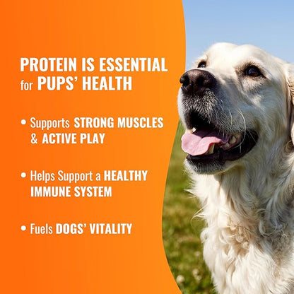 GOOD 'N' FUN Triple Flavor Wraps with Beef Tendon Chews, High-Protein Dog Treat for All Adult Dogs, Made with Real Beef Hide, Chicken & Beef Tendon, 8 Count
