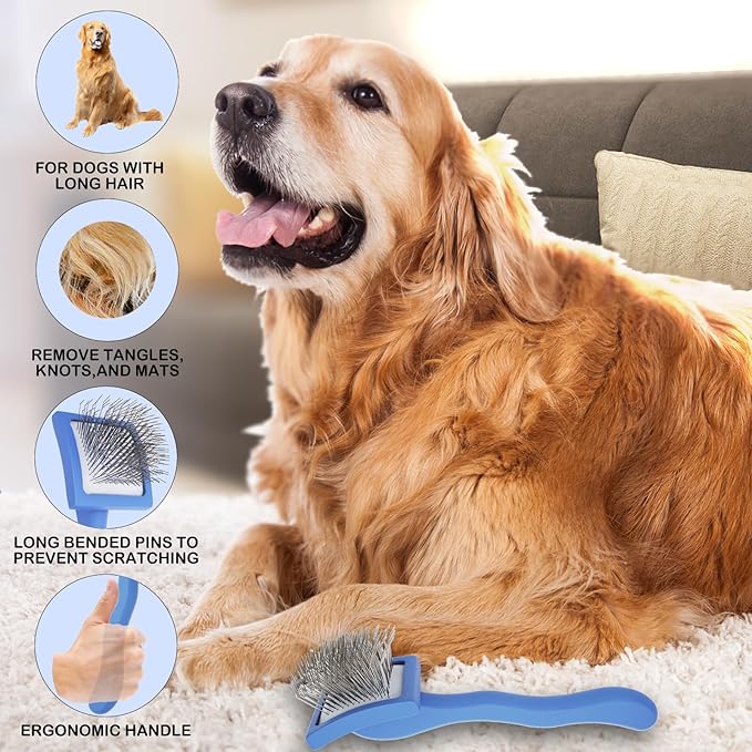 Dog Slicker Brush for Golden Doodle Grooming Kit - Dematting Brushes for Goldendoodles, Labradoodles, Poodles - Pet Hair Brush for Short & Medium Haired Dogs - Small (Blue)
