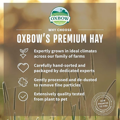 Oxbow Orchard Grass Hay for Small Pets – All-Natural Long Strand Fiber Hay for Rabbits,Guinea Pigs,Chinchillas,and Hamsters – Supports Digestive Health and Enrichment-– 40 oz Bag,(Pack of 2)