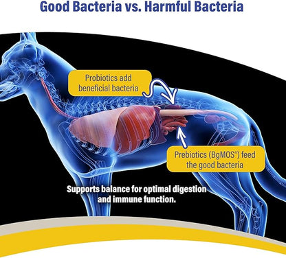 Doc Roy’s GI Synbiotics Probiotic & Prebiotic Supplemental Gel for Dogs & Cats, Digestive & Immune Health Supplement with Live Cultures, BgMOS & Beta Glucans, Chicken Flavor, 15ml Oral Gel