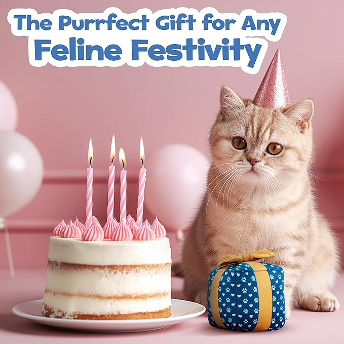 PUPROAR Gift Box Cat Toy, Cat Birthday Toy with Catnip and Crinkle, Cute Indoor Gift for Cats