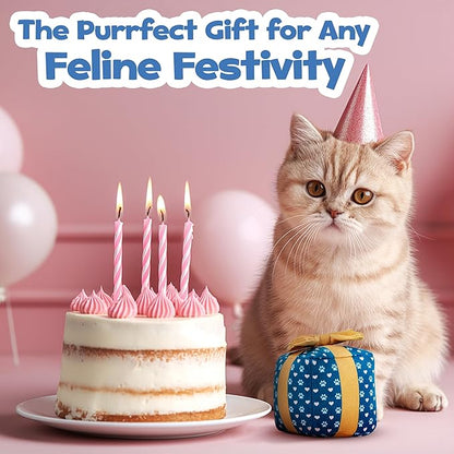 PUPROAR Gift Box Cat Toy, Cat Birthday Toy with Catnip and Crinkle, Cute Indoor Gift for Cats