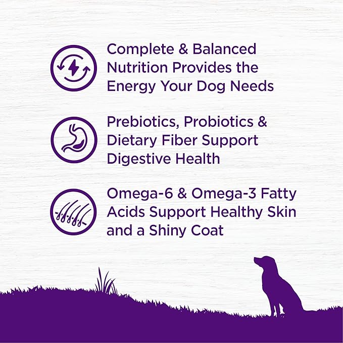 Wellness Complete Health Adult Dry Dog Food, Wholesome Grain Kibble, Natural, Chicken and Oatmeal Recipe, 26 lb Bag