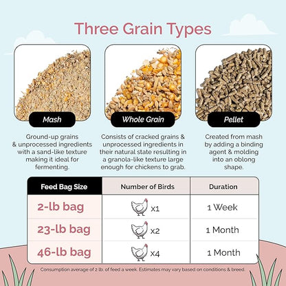 Mile Four Organic Chicken Feed (46 lbs) Layer Whole Grain, Non-GMO, USA Grown, 16% Protein, Corn-Free, Soy-Free, Non-Medicated Feed for Chickens