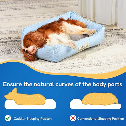 FluffyDream Small Dog Bed, Super Soft Pet Bed Furniture, Suitable for Dogs Up to 30lbs, 24'' x 20'', Light Blue