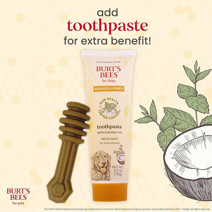BURT'S BEES FOR PETS Dental Treats for Dogs with Manuka Honey & Ginger, Holistic, Plant-Based Oral Care, 98% Natural Origin Formulas, Peanut Butter Flavor, Dog Treats Medium Dogs, Sz Md/Lg 5ct, 7 oz