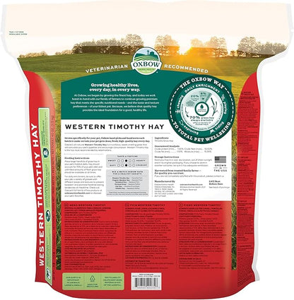Oxbow Western Timothy Hay for Small Pets – All-Natural Grass Hay for Rabbits, Guinea Pigs, and Chinchillas – High Fiber for Digestive Health and Dental Support – 40 oz Bag