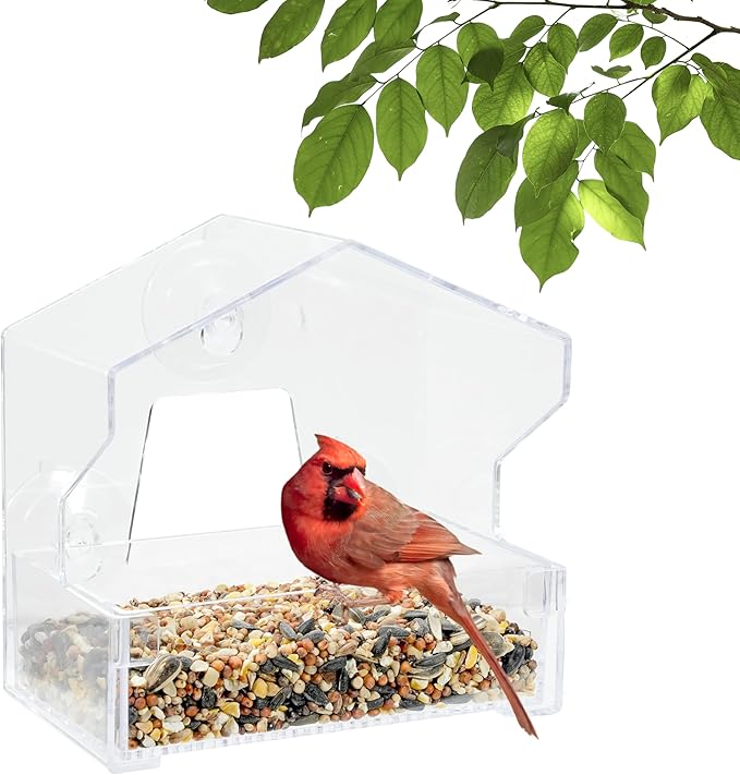 Perky-Pet Clear Outdoor Window Bird Feeder with Strong Suction Cups – 1/2 Lb Seed Capacity - Perky Pet 345 - Entertaining Bird Feeding - Watch Birds Eat Seeds