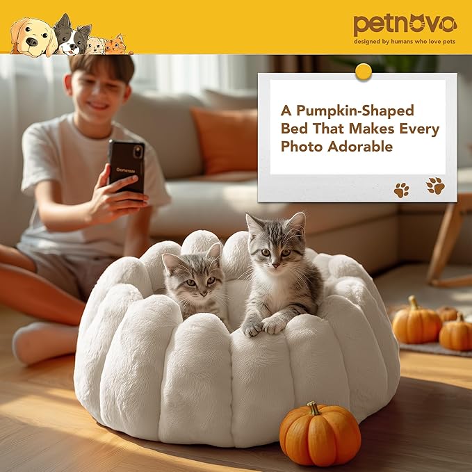 PETNOVO Pumpkin Calming Cat Bed,Plush Donut Cuddler with High Bolster,Ultra Soft Bunny Plush,Oeko‑TEX,Non-Slip Pet Nest,for Indoor Cats up to 13 lbs & Small Dogs,20Lx20Wx12H Inch, Cream