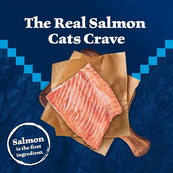 Blue Buffalo Wilderness Natural Adult Dry Cat Food, High-Protein and Grain-Free Diet, Supports Healthy Muscle Development and a Healthy Immune System, Salmon, 5-lb Bag