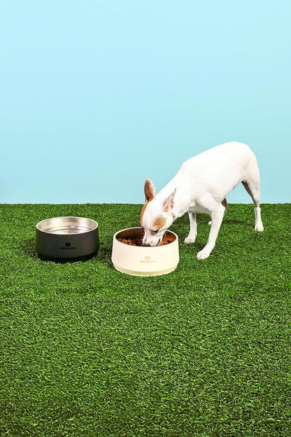 STANLEY Pet Bowl | 3-Cup (24 oz) Insulated Stainless Steel Dog & Cat Bowl | Splash-Resistant Lid | Dishwasher Safe | BPA-Free | Cream