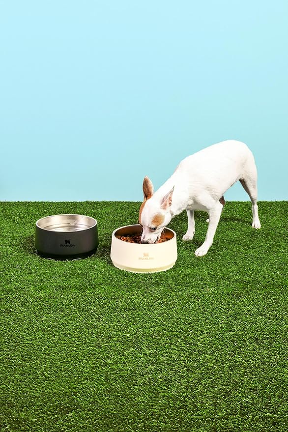 STANLEY Pet Bowl | 6-Cup (48 oz) Insulated Stainless Steel Dog & Cat Bowl | Splash-Resistant Lid | Dishwasher Safe | BPA-Free | Cream