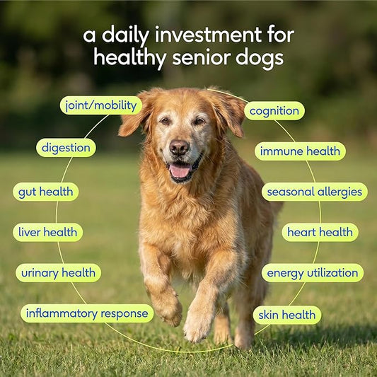 Native Pet Senior Daily Dog Vitamins & Supplements – 12-in-1 Dog Multivitamin Powder for Senior Dogs – Supports Mobility, Cognition, Digestion, Immune Health & More – 120 Scoops