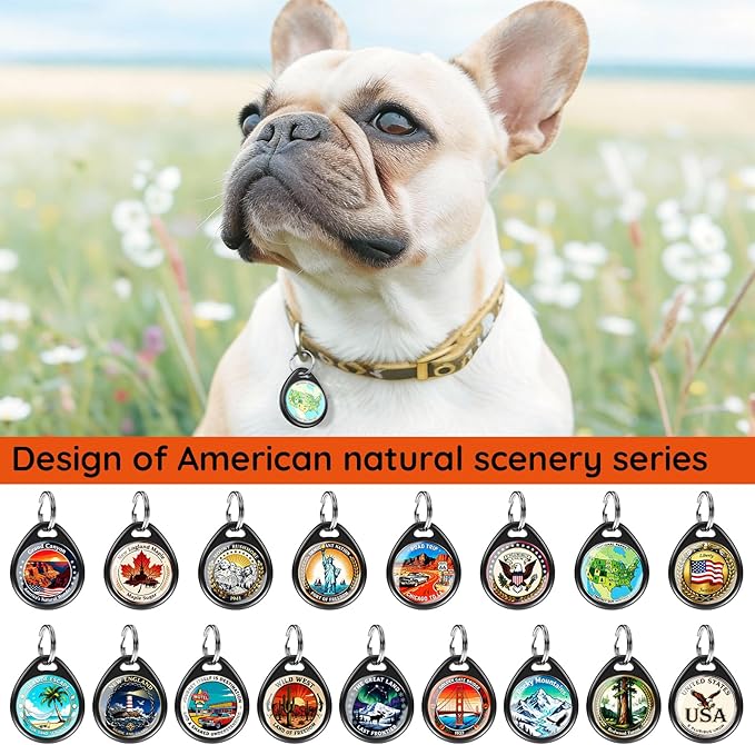 Dog Tags Personalized for Pets, Cactus QR Code Dog Name Tags for Pet Collar, Online Profile, Scan Location Alerts, (Black Cactus)