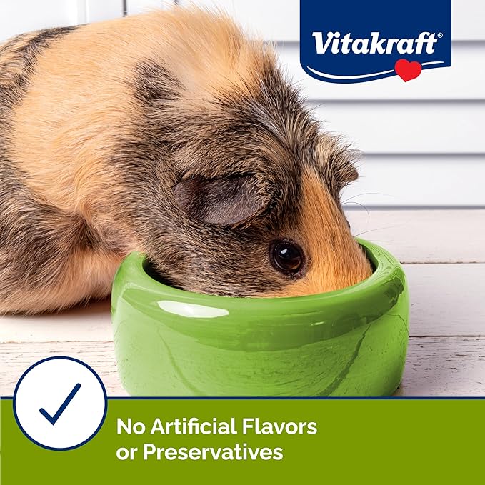 Vitakraft Slims Carrot Small Animal Treats – Light, Healthy Food Bites - Crispy Carrot Treats for Rabbits, Guinea Pigs, Hamsters & Chinchillas (10oz)