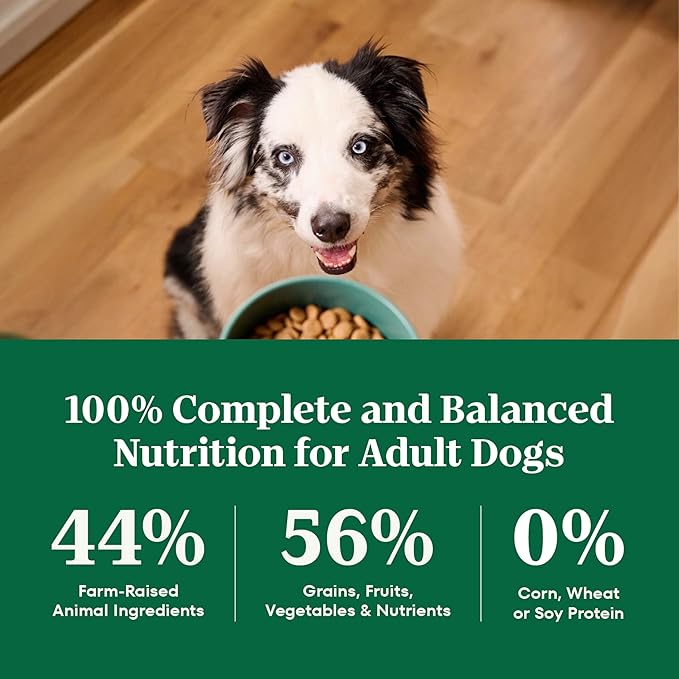 Nutro Natural Choice Dry Dog Food, Adult Dog Food Dry Chicken and Brown Rice Recipe, 30 lbs.