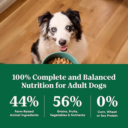 Nutro Natural Choice Dry Dog Food, Adult Dog Food Dry Chicken and Brown Rice Recipe, 30 lbs.