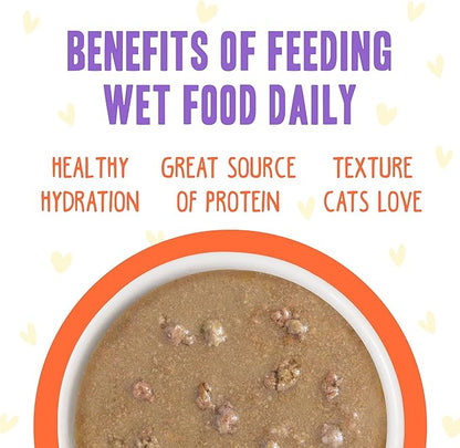 Weruva B.F.F. OMG - Best Feline Friend Oh My Gravy!, Chicken & Salmon Shine Bright with Chicken & Salmon in Gravy, 2.8oz Pouch (Pack of 12)