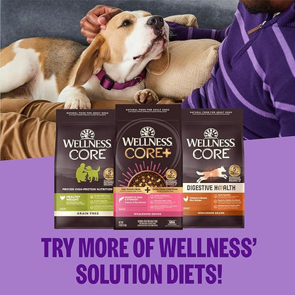 Wellness CORE+ Healthy Weight Adult Dry Dog Food with Freeze Dried Pieces, Grain Free Kibble+, Natural, High Protein, Turkey and Chicken Recipe, 18 lb Bag