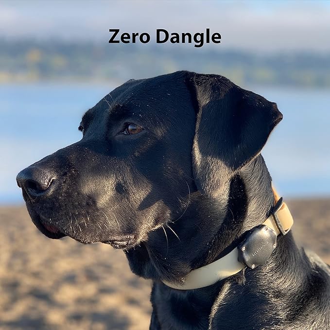Elevation Lab AirTag Dog Collar Holder - TagVault™ - Secure Thru-Mount, IP69 Waterproof, Doesn't Dangle, Fits All Width Collars
