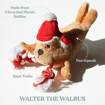 Dog Toys | Winter Plush Toy Walrus Stuffed Animal for Dogs | Small Eco Friendly Toy - Easy to Clean and Made from Non Toxic Materials