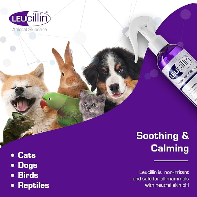 Leucillin Natural Antiseptic Dropper for Dogs, Soothes Itchy Skin and Promotes Healing, Effective Treatment for Dogs, Wound and Skin Care Solution for Pets, First Aid Kit Essential - 50ml