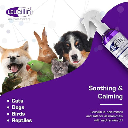 Leucillin Natural Antiseptic Dropper for Dogs, Soothes Itchy Skin and Promotes Healing, Effective Treatment for Dogs, Wound and Skin Care Solution for Pets, First Aid Kit Essential - 50ml